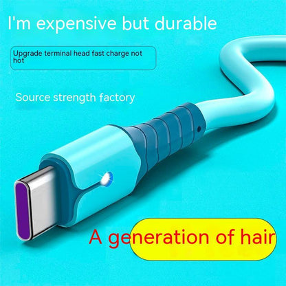 Fast Charger & USB-C Cable: Quick Wired Phone Charging